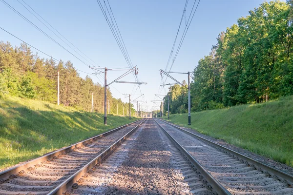 A railway Track going through Trees. — Stock Photo, Image