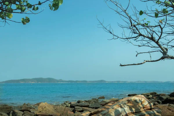 Les Roches Floues Sur Plage Sont Des Arbres Secs Des — Photo