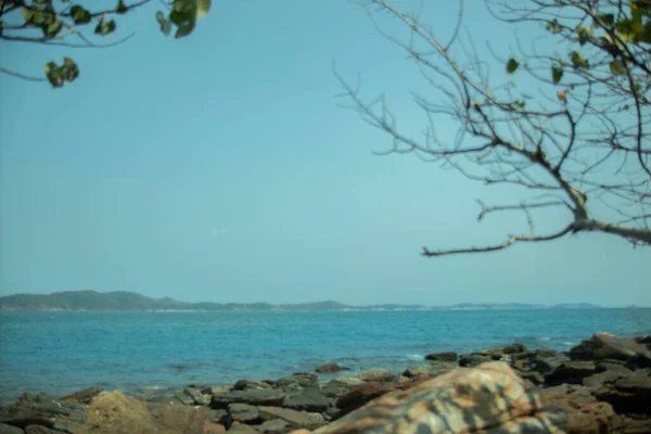 Pedras Azuis Praia São Árvores Secas Ramos Água Azul Ilha — Fotografia de Stock