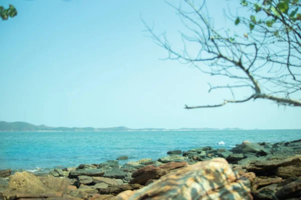 Pedras Azuis Praia São Árvores Secas Ramos Água Azul Ilha — Fotografia de Stock