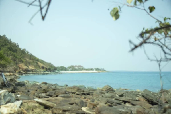 Sfocatura Rocce Sulla Spiaggia Sono Alberi Secchi Rami Acqua Blu — Foto Stock
