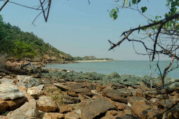 Les Roches Floues Sur Plage Sont Des Arbres Secs Des — Photo