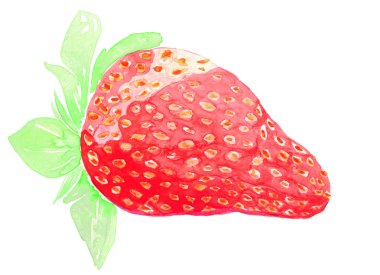 Sulu boya taze çilek izole