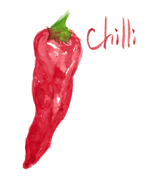 Watercolor red chilli pepper with lettering isolated — Stock Photo, Image