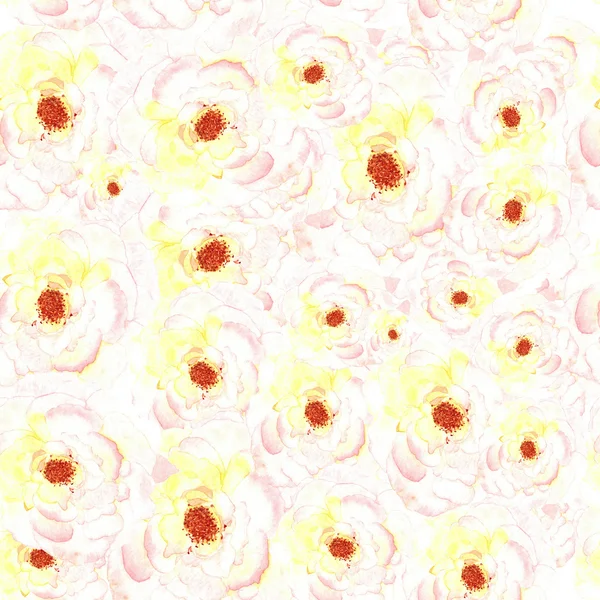 Rózsa, fehér varrat nélküli mintát akvarell — Stock Fotó