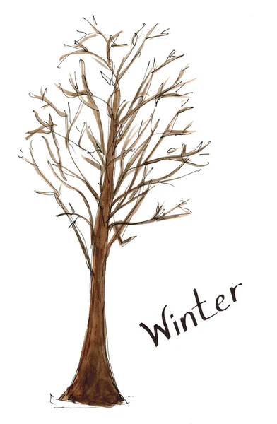 Skizze handgezeichnet Aquarell Saison Winter ohne Blätter Baum mit Schriftzug isoliert — Stockfoto