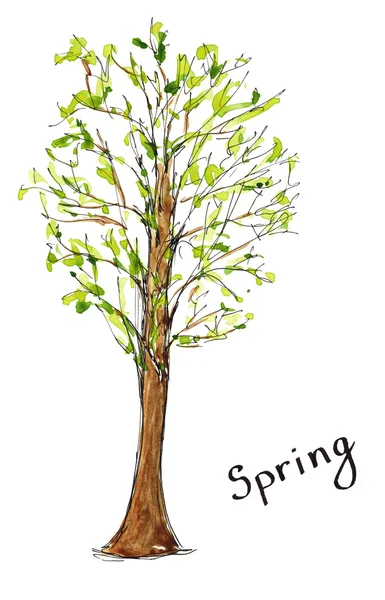 Croquis dessiné à la main aquarelle saison arbre de printemps avec lettrage isolé — Photo