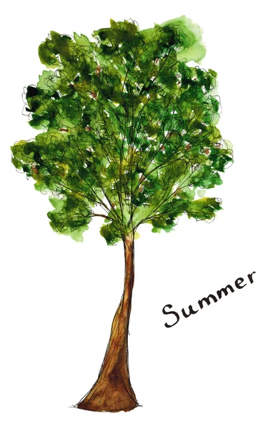 Sketch mão desenhada aquarela estação verão árvore verde com letras isoladas — Fotografia de Stock
