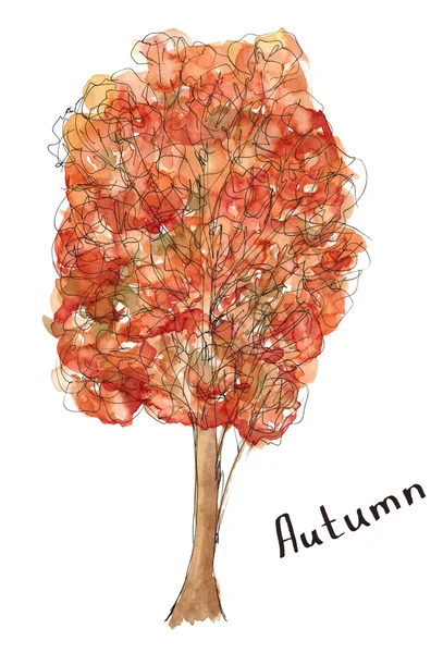 Sketch hand drawn watercolor season autumn orange tree with lettering isolated — Stock Photo, Image