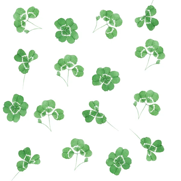 Watercolor clover lucky background — Stock Photo, Image