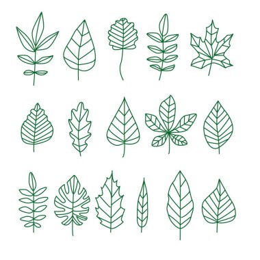 Botanik karalama elementi bırakır. Yeşil çizgi çizilmiş elementler. Sosyal medya hikayeleri için vektör illüstrasyon simgeleri logosu vurgusu. Tropik dekor sınır desenli arkaplan. Kağıt ambalaj minimalist dekoratif set kalem veya keçeli kalem uçlu bitkiler