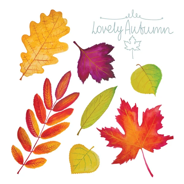 Akvarell-készlet őszi levelek. — Stock Vector
