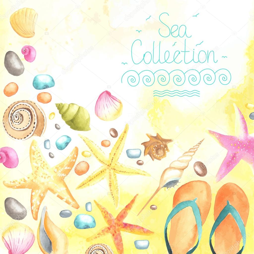 Shells and starfishes on sand background.