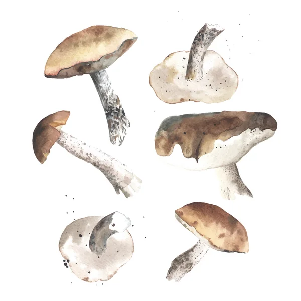 Cogumelos de autunm encantadores — Vetor de Stock