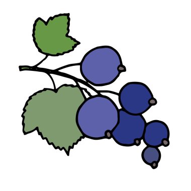 blackcurrant vektör çizim