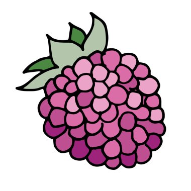 Ahududu vektör çizim