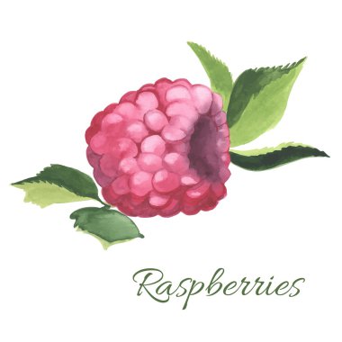 Ahududu çizilmiş resmi el