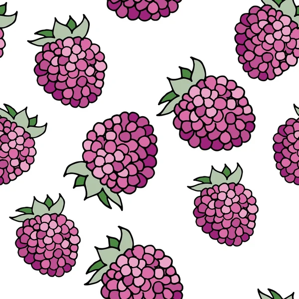 Modèle de framboises — Image vectorielle