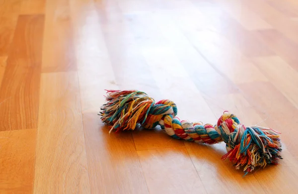 Giocattolo colorato del cane del cucciolo sul pavimento — Foto Stock