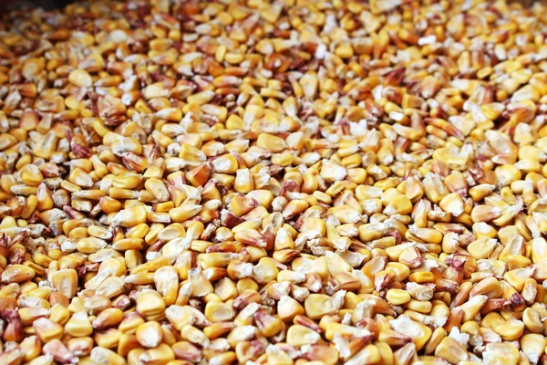 Dish full of dried yellow corn seeds Stock Photo