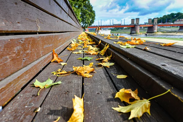 Macro Foto Hojas Amarillas Otoño Banco Madera Parque Contra Cielo — Foto de Stock