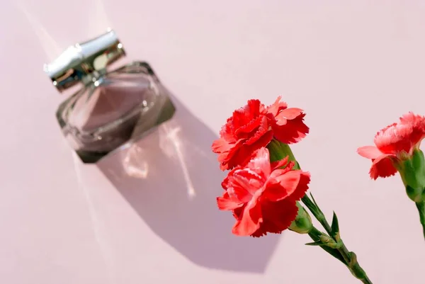 Бутылка духов и цветок гвоздики на розовом фоне — стоковое фото