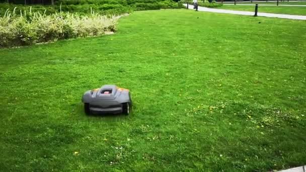 Automatyczna kosiarka robotów na trawniku w parku miejskim — Wideo stockowe