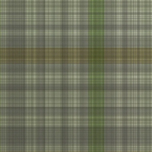 Vérifications Tartan Répéter Sans Couture Motif Classique Moderne Avec Texture — Photo