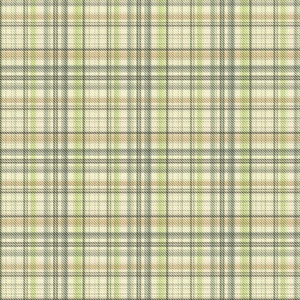 Vérifications Tartan Répéter Sans Couture Motif Classique Moderne Avec Texture — Photo