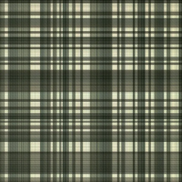 Vérifications Tartan Répéter Sans Couture Motif Classique Moderne Avec Texture — Photo