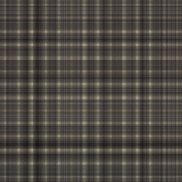 Vérifications Tartan Répéter Sans Couture Motif Classique Moderne Avec Texture — Photo