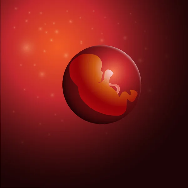 Vector illustration of embryo, germ design, baby, fetus concept, nucleus, life — ストックベクタ