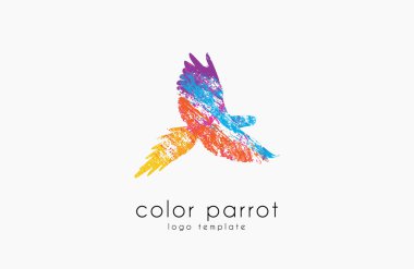 Papağan logo tasarımı. Renk papağan. Kuş logosu. Egzotik logosu.