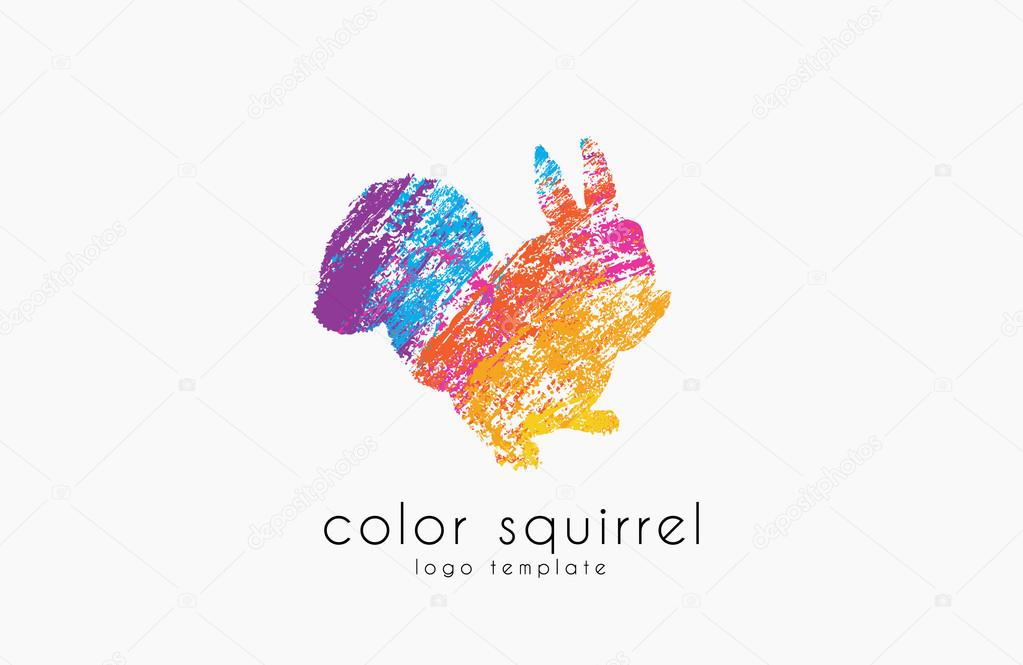 Squirrel logo. Color squirrel logo. Sweetl logo. Creative animal logo.