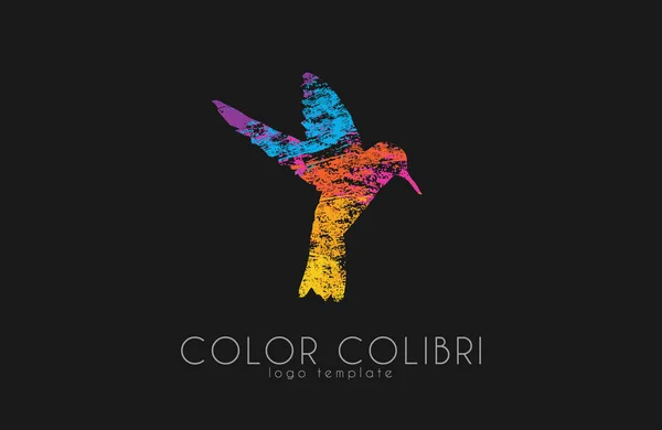 Logo Colibri Colibrí Color Logo Bird Pájaro Creativo — Archivo Imágenes Vectoriales