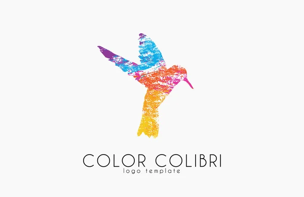 Logo Colibri Colibrí Color Logo Bird Pájaro Creativo — Vector de stock