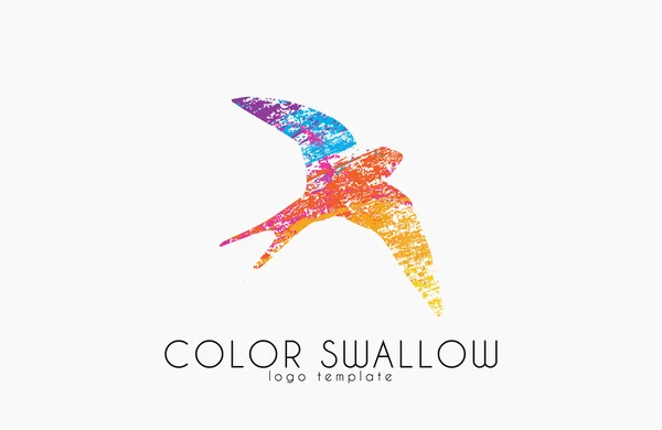 Golondrina logo. Diseño del logotipo de tragar color. Diseño del logo Bird — Vector de stock