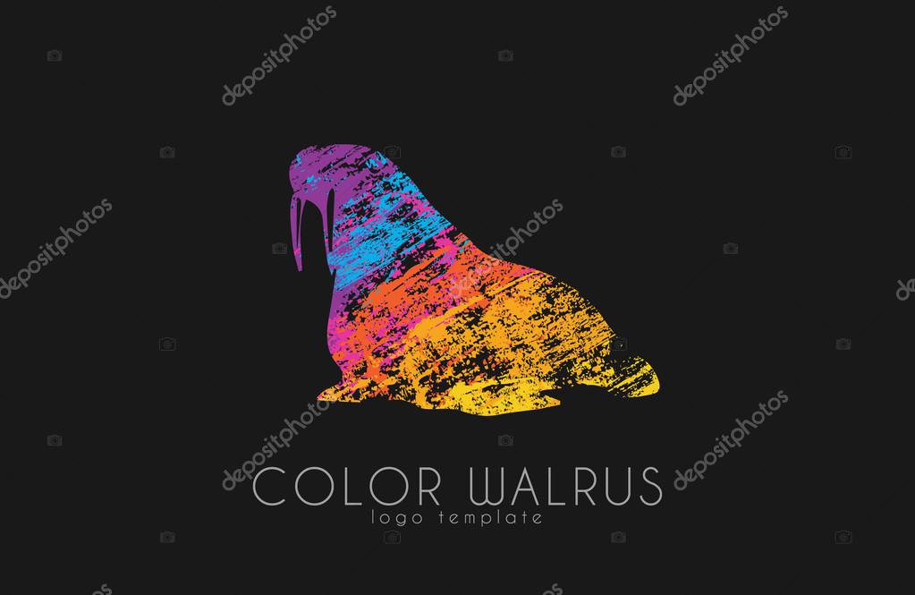 Walrus. Color walrus logo. Creative logo design.