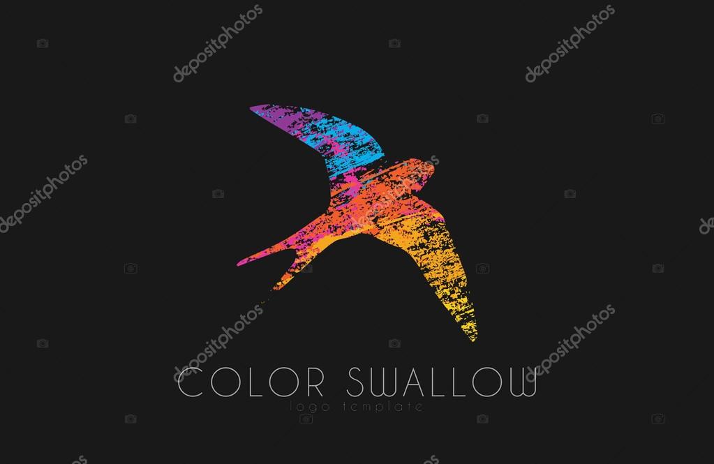 Swallow logo. Color swallow logo design. Bird logo design
