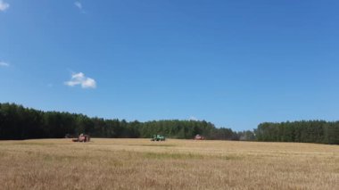 hasat mahsullerini tarladaki tahıl hasadında birleştirin.