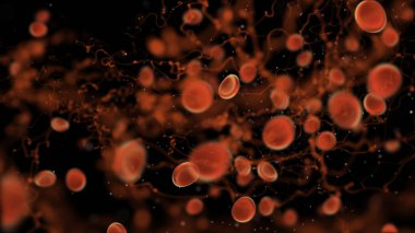 Kan hücreleri ve virüsler, biyoloji konsepti