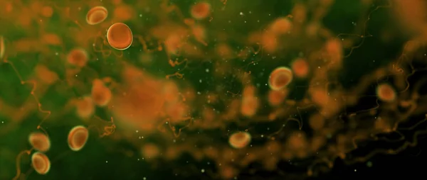 Komórki Krwi Wirusy Tło Koncepcji Biologii — Zdjęcie stockowe