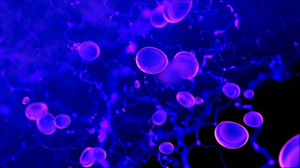 Renderowanie Komórek Krwi Biologia Koncepcja Tapety — Zdjęcie stockowe