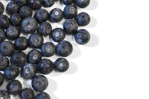 Blueberries on a white background — Stock Photo, Image