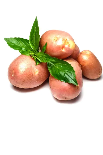 Fresh potatoes with basil — Stock Photo, Image