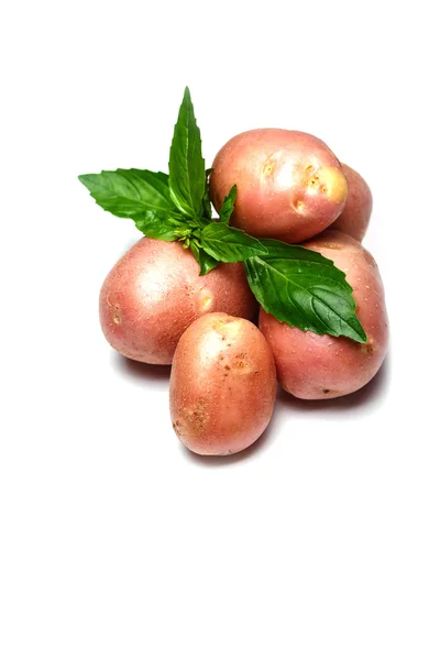 Patatas frescas con albahaca — Foto de Stock