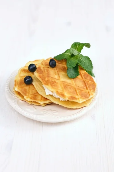 Waffles com queijo cottage, mirtilos e hortelã — Fotografia de Stock