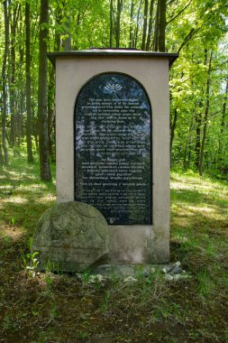 Polonya 'daki eski tarihi mezarlık