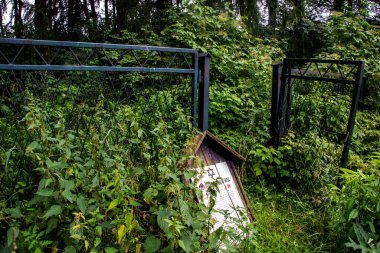 Polonya 'daki eski tarihi mezarlık