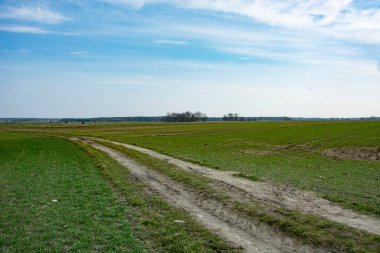 Polonya 'daki eski tarihi mezarlık
